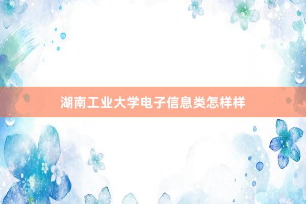 湖南工业大学电子信息类怎样样